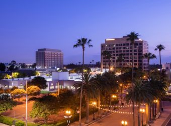 Twilight,Palm,Tree,Framing,The,Skyline,Of,Downtown,Anaheim,,California,