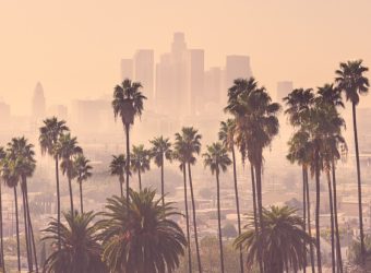 Los,Angeles,Skyline,With,Palm,Trees,In,The,Foreground